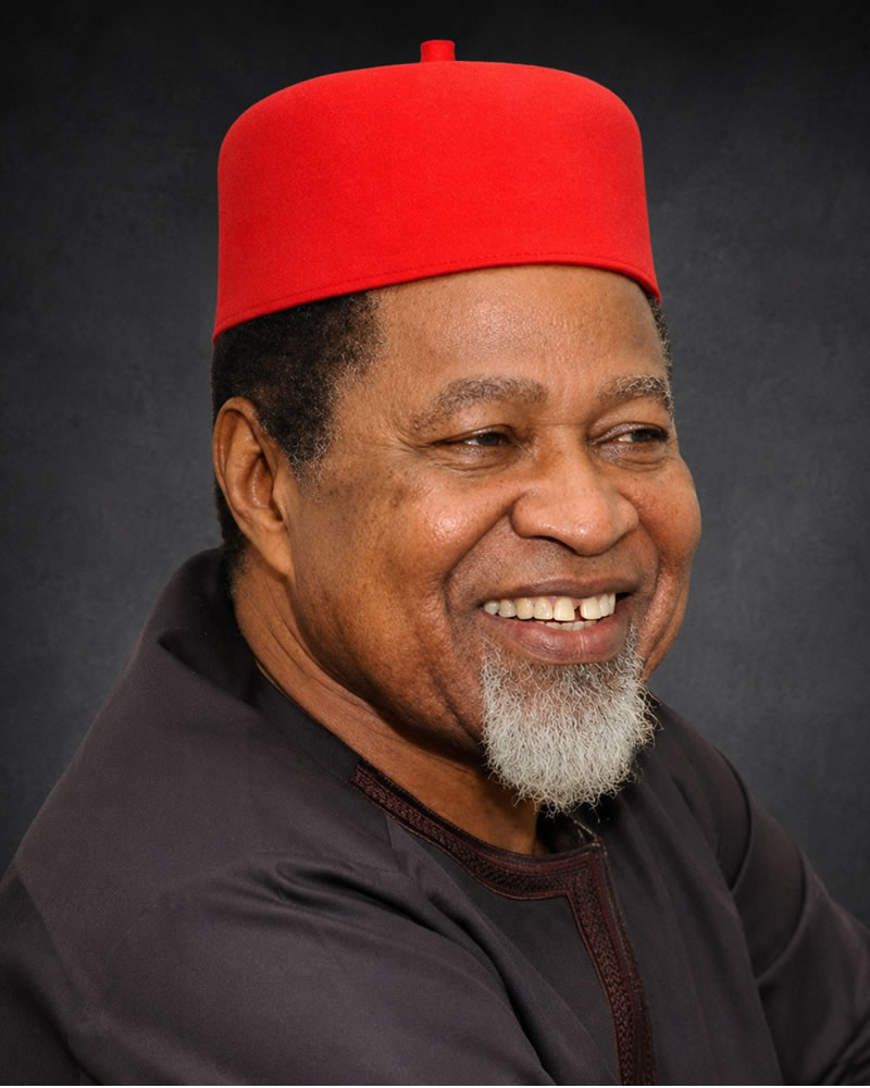 Chief (Dr) Bestman P. Anekwe — Chairman