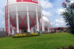 LPG-1