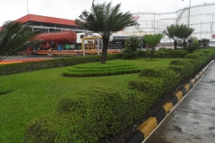 SAM_5117